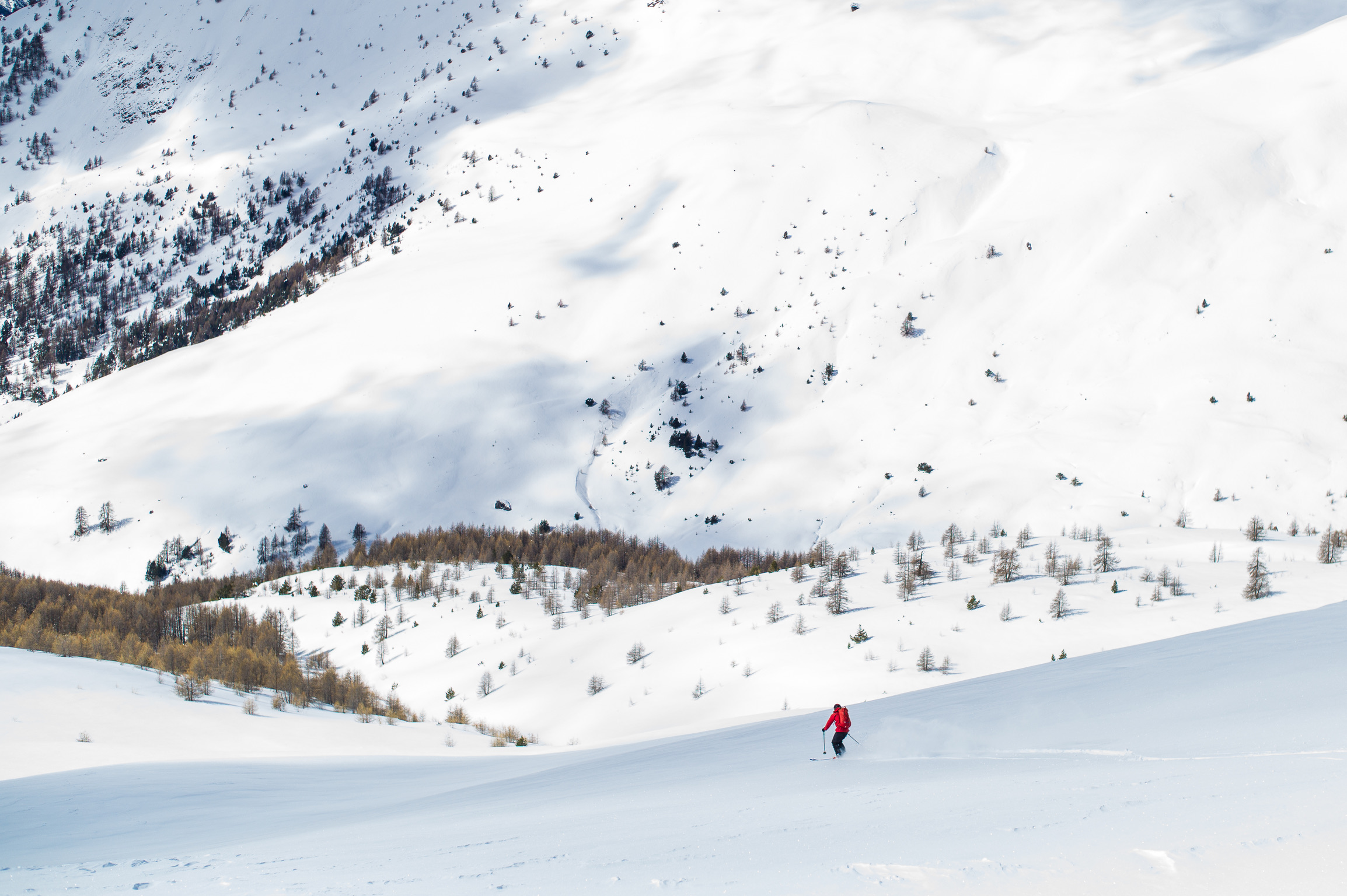 Choix varié de pentes douces si le risque est marqué à fort dans le massif du Queyras en ski de randonnée